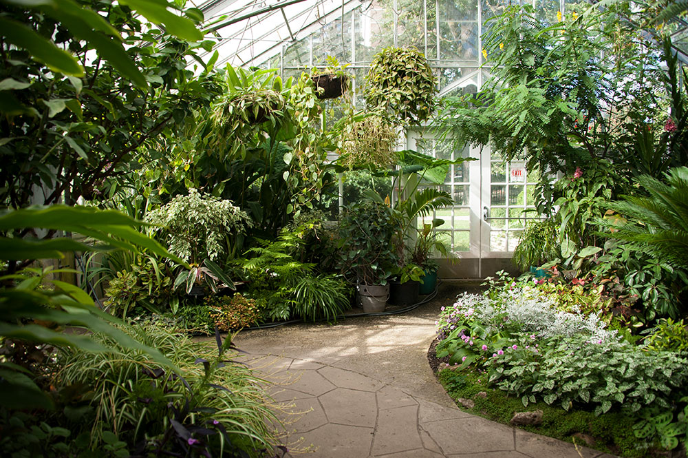 Allan Garden Conservatory 8